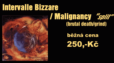 a2d384f2-f471-102a-8617-a07568ab209d.agif