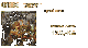 a314185e-f471-102a-8617-a07568ab209d.gif